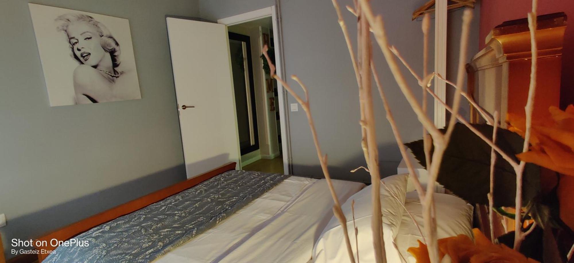 Apartmán Gasteiz Etxea L Vitoria-Gasteiz Exteriér fotografie